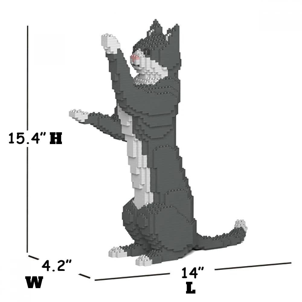 Grey Tuxedo Cat