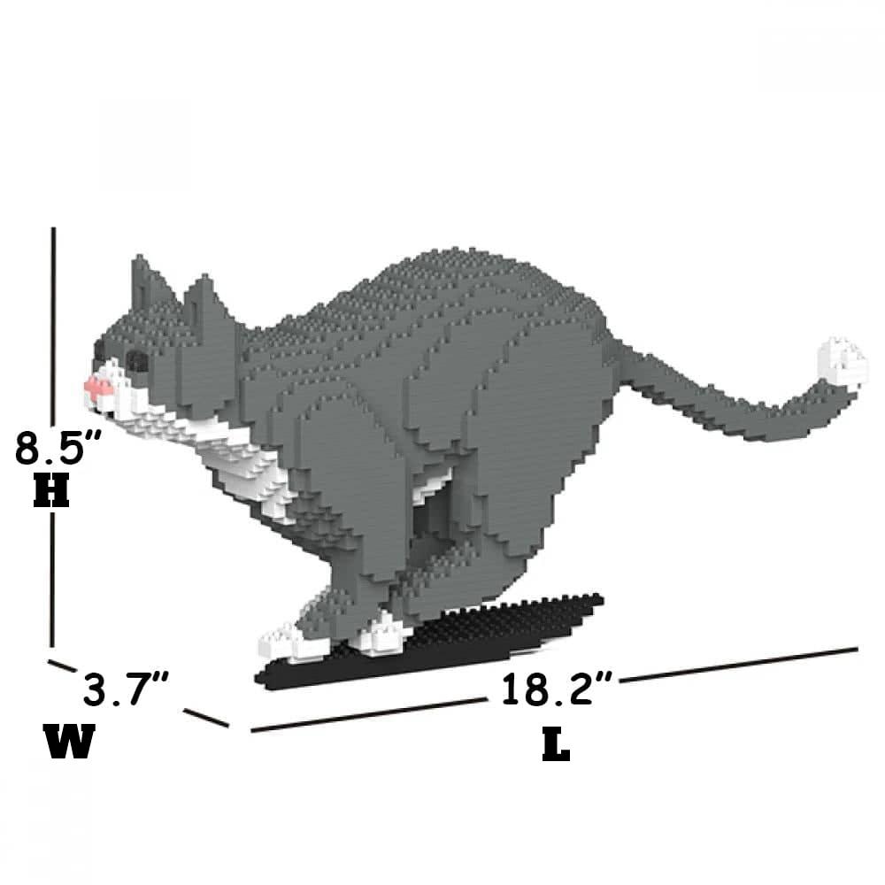 Grey Tuxedo Cat