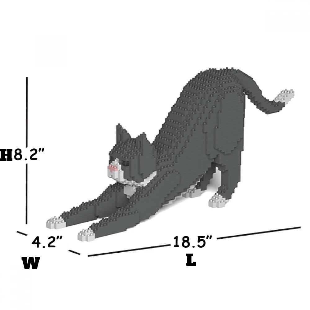 Grey Tuxedo Cat