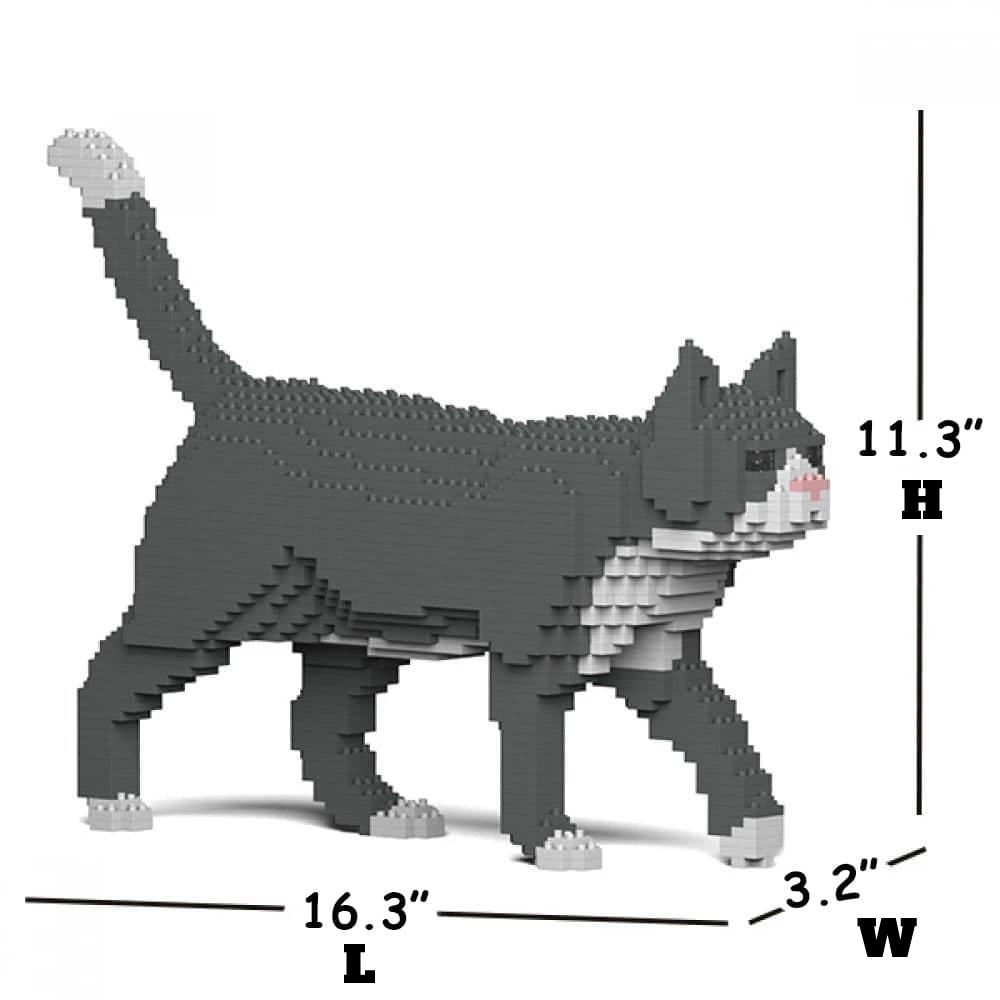 Grey Tuxedo Cat