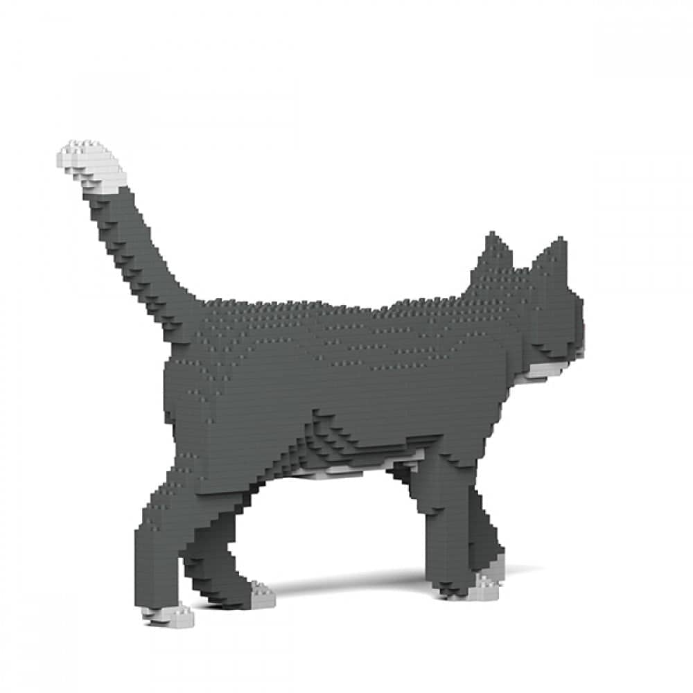 Grey Tuxedo Cat