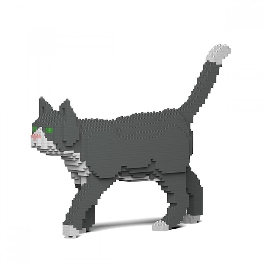 Grey Tuxedo Cat