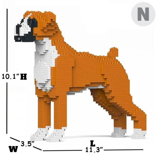 Boxer-1
