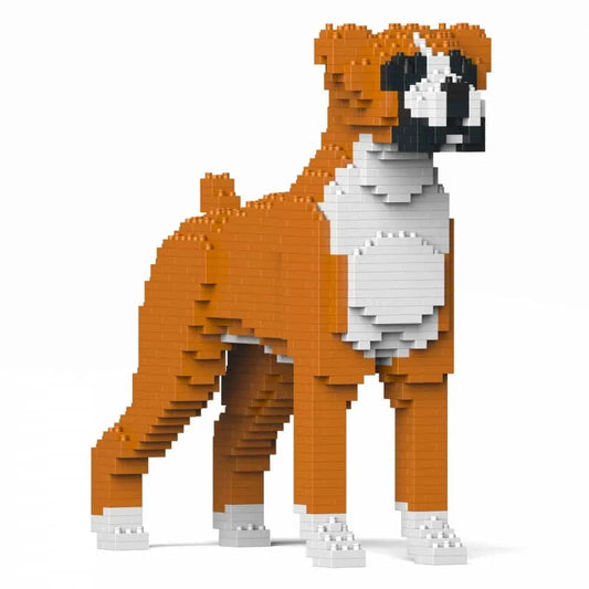 Boxer-0