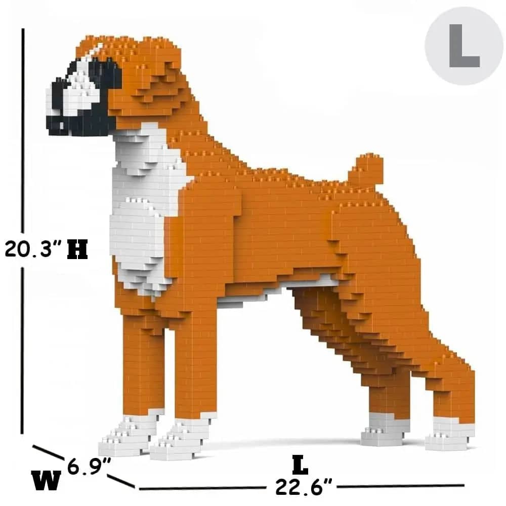 Boxer-6