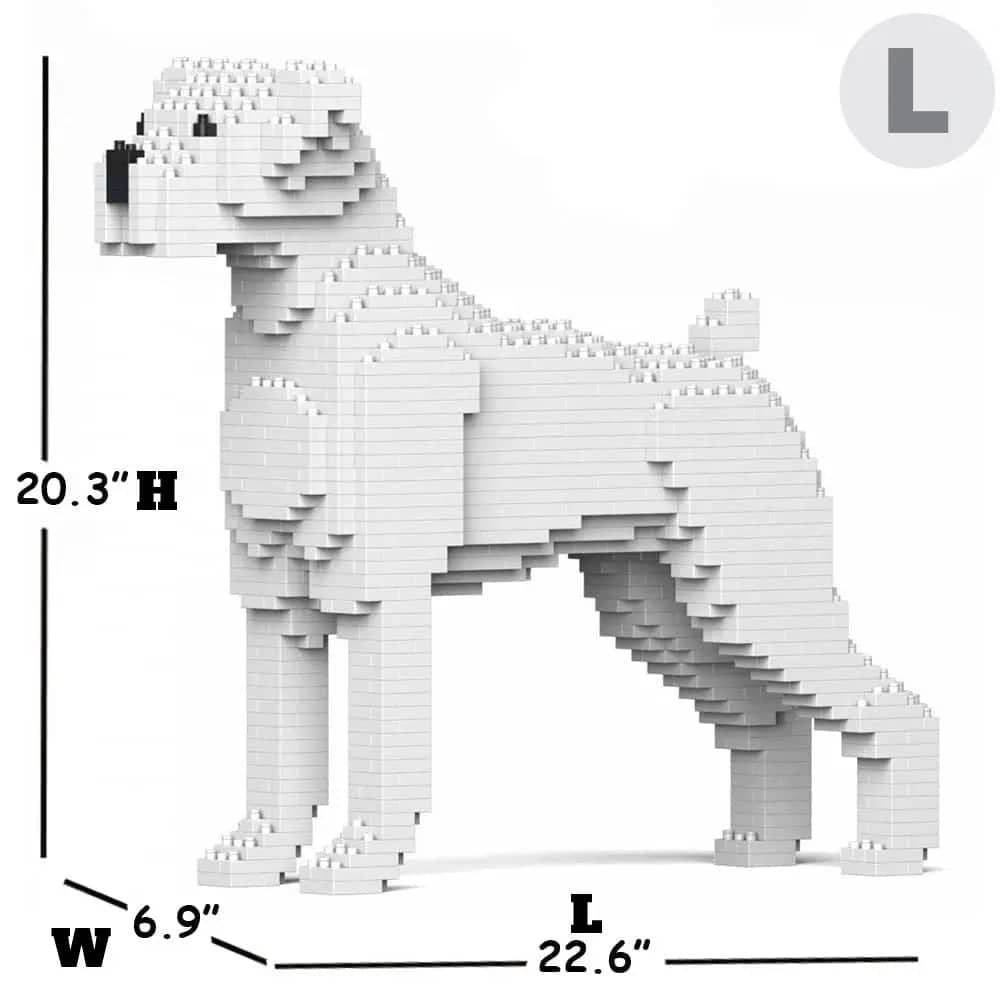 Boxer-8