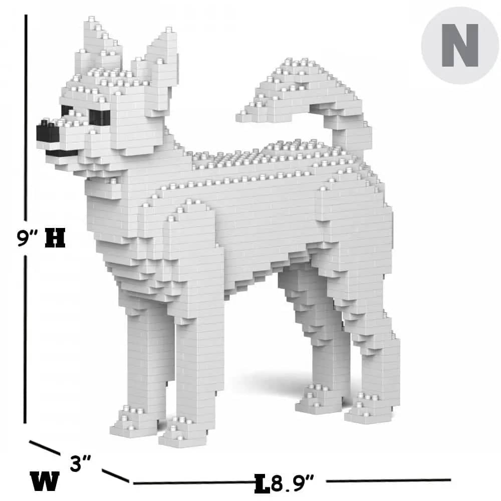 Chihuahua-1