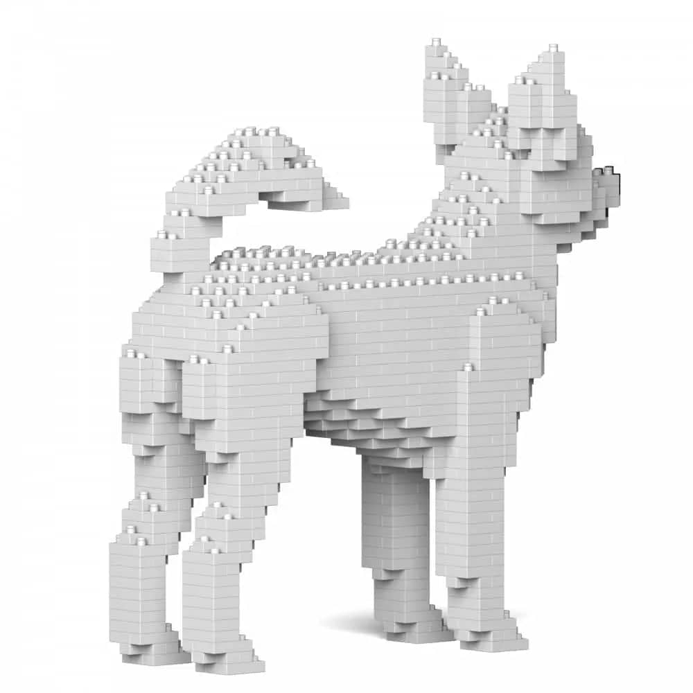 Chihuahua-3