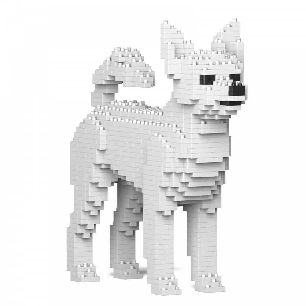 Chihuahua-2