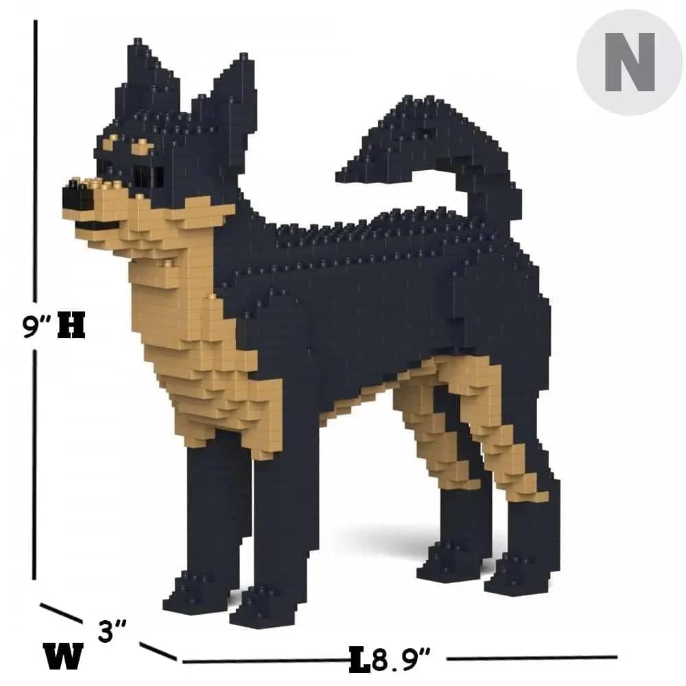 Chihuahua-4