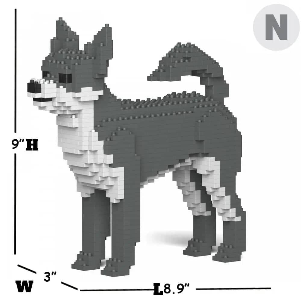 Chihuahua-9