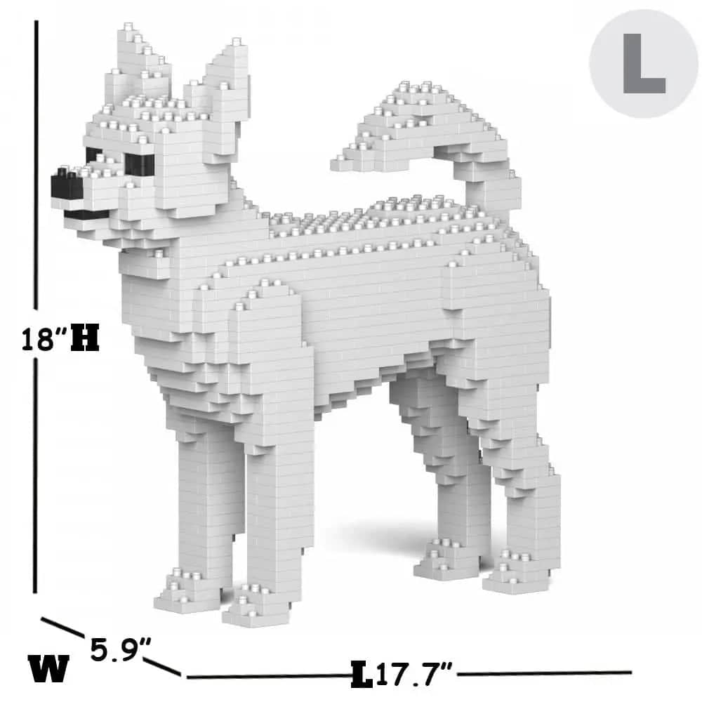 Chihuahua-5