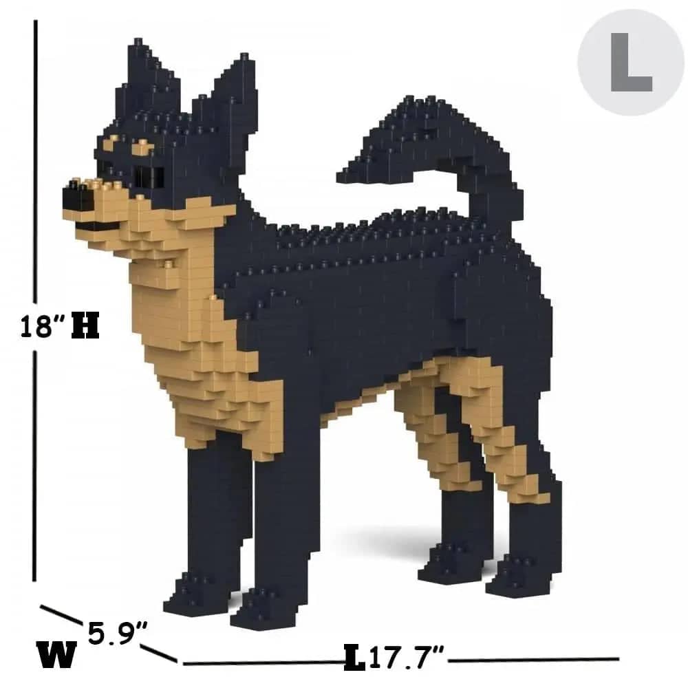 Chihuahua-6