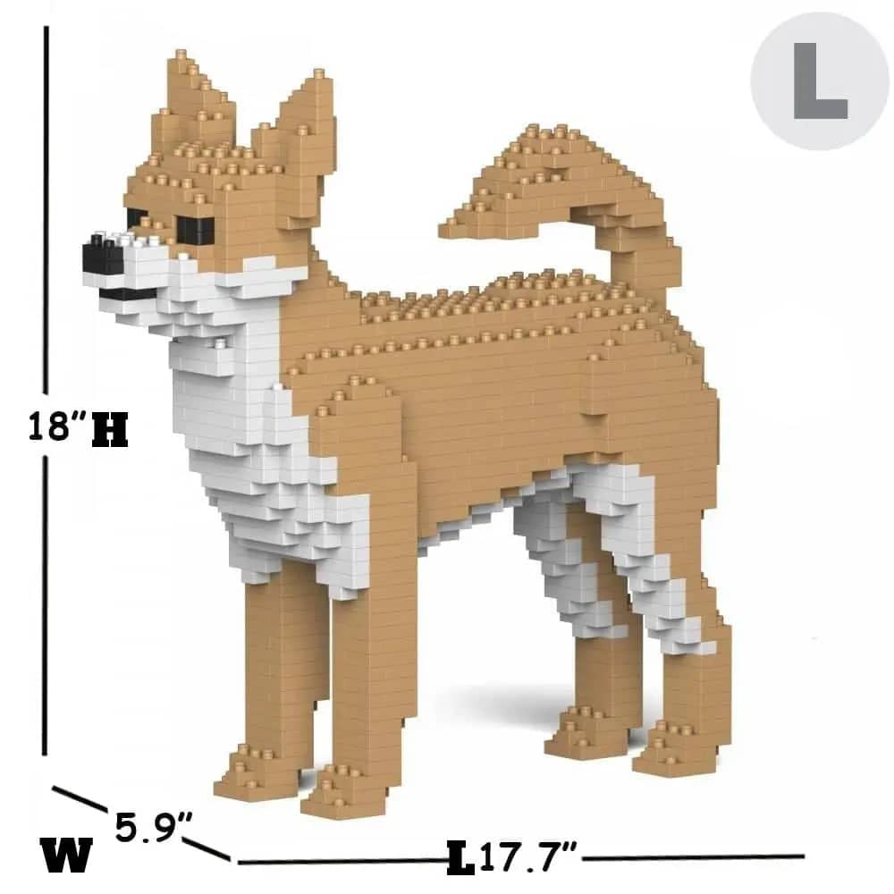 Chihuahua-8