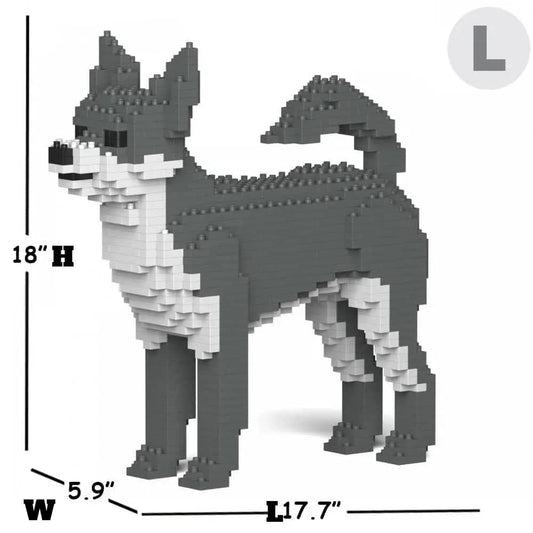 Chihuahua-10