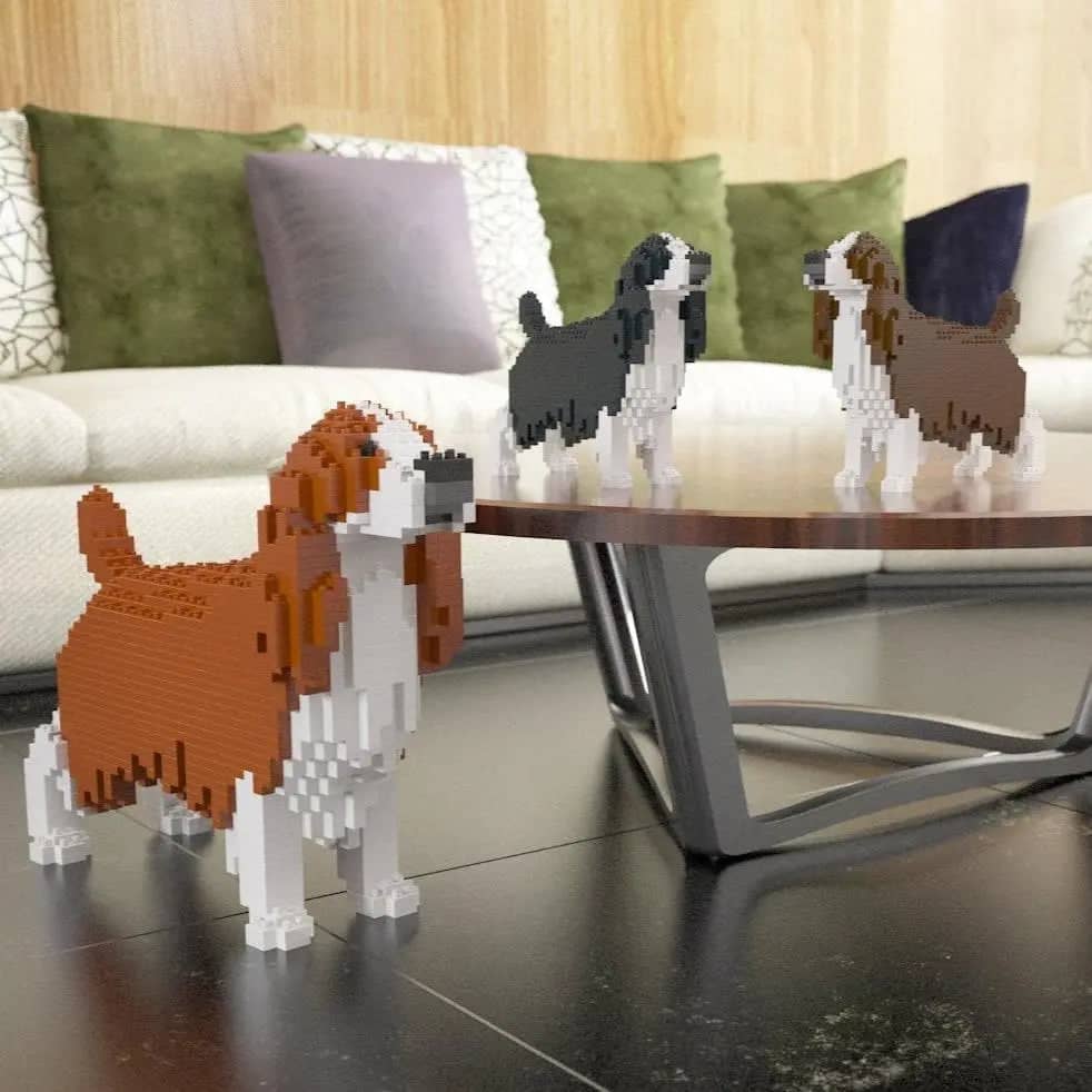 English Springer Spaniel-4