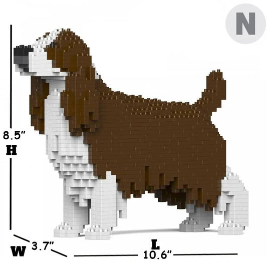 English Springer Spaniel-1