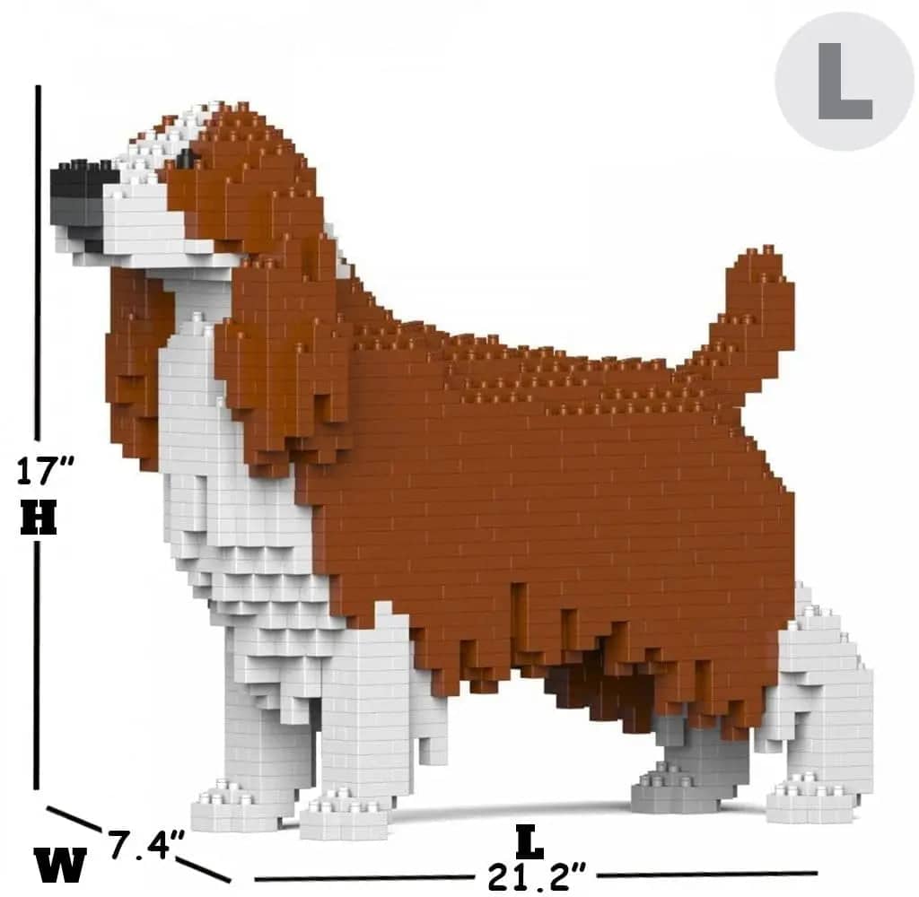 English Springer Spaniel-7