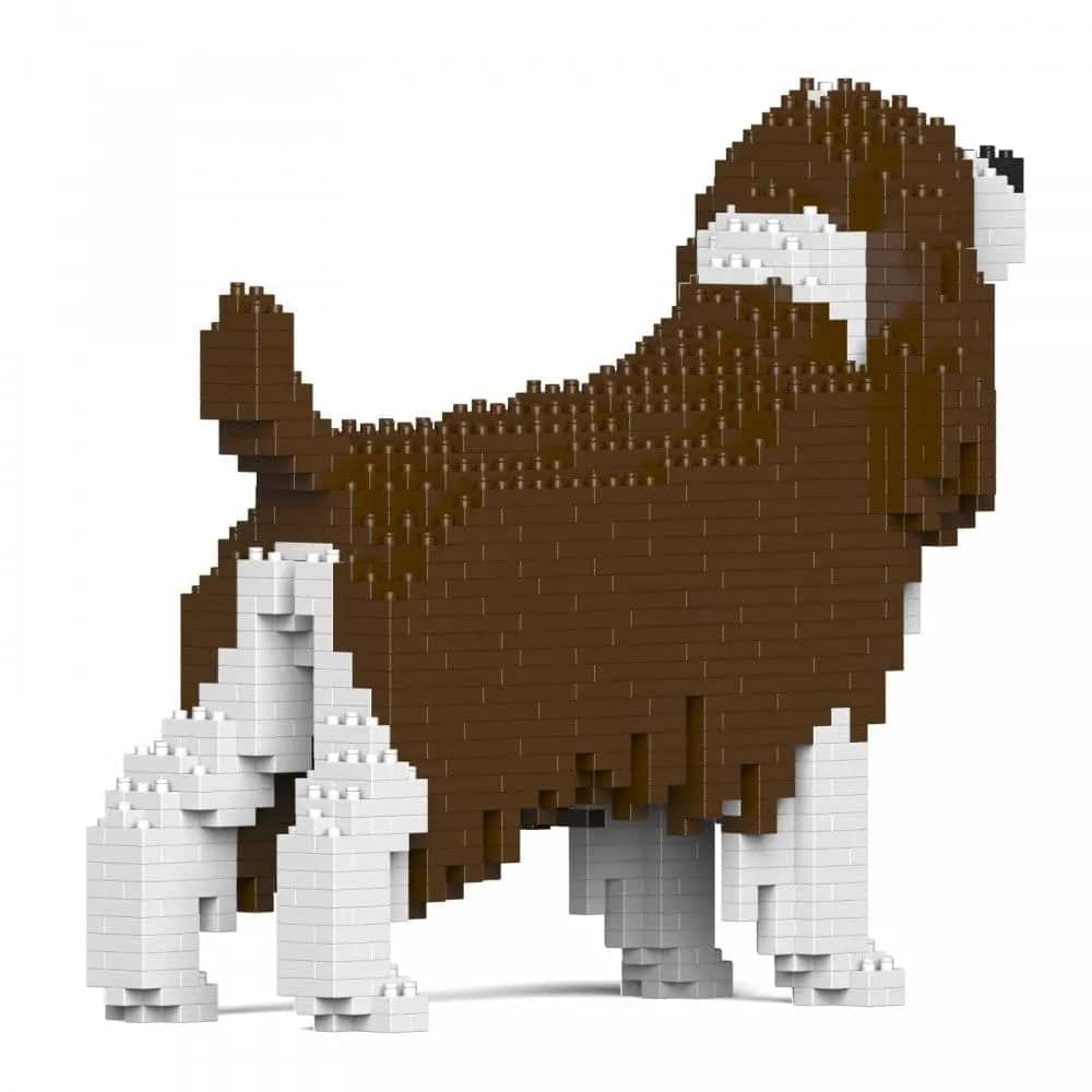 English Springer Spaniel-3