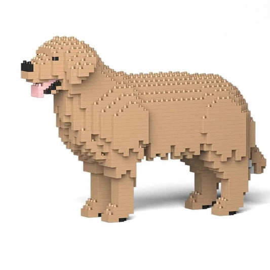 Golden Retriever (SALE)-0