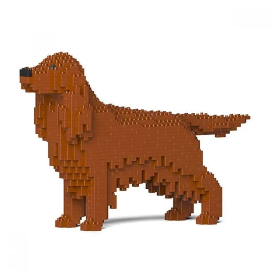 Irish Setter-0