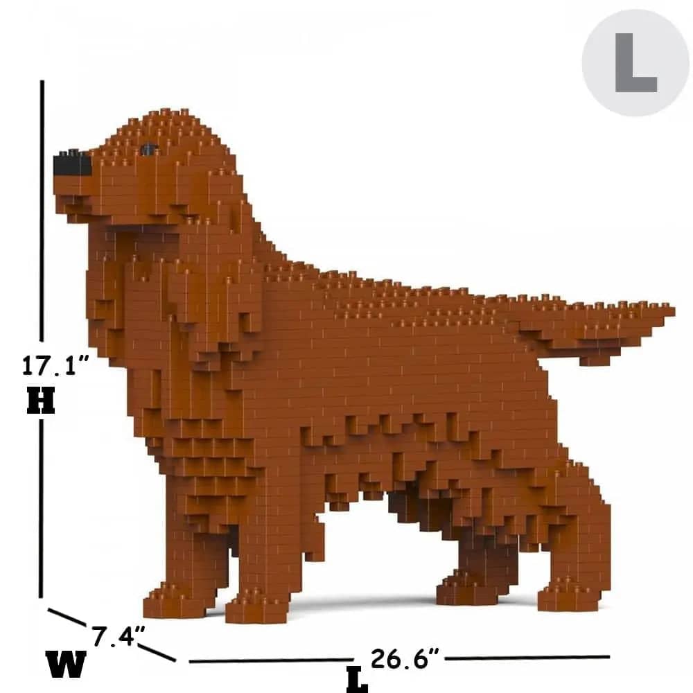 Irish Setter-5