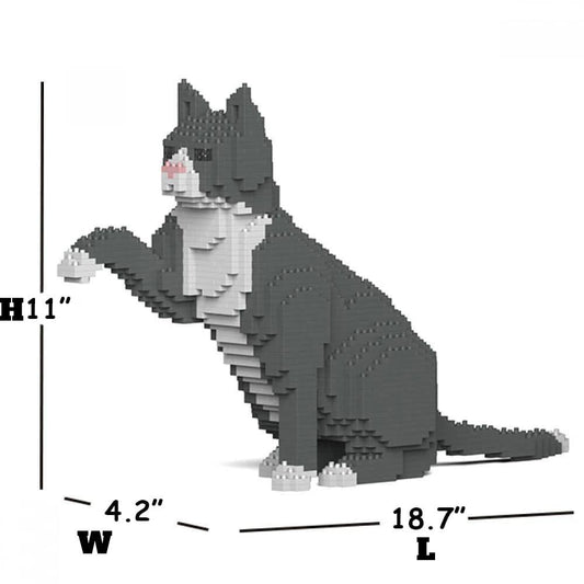 Grey Tuxedo Cat