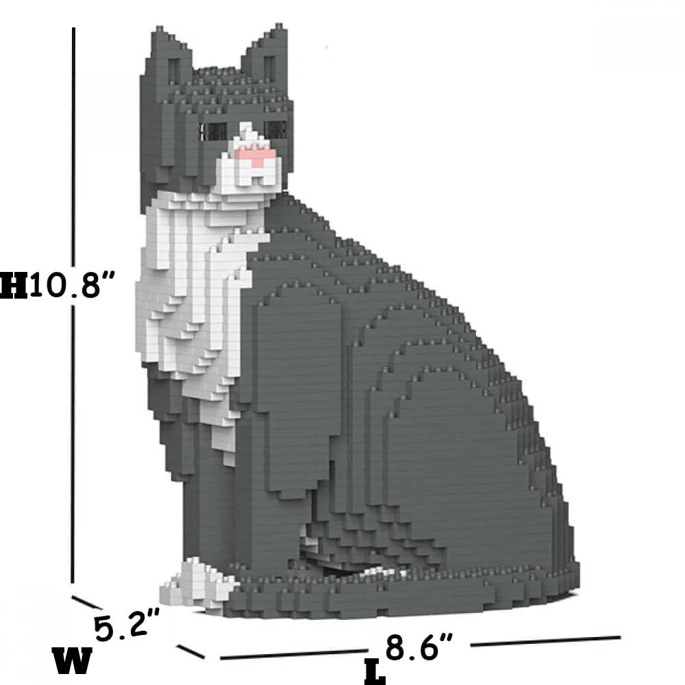 Grey Tuxedo Cat