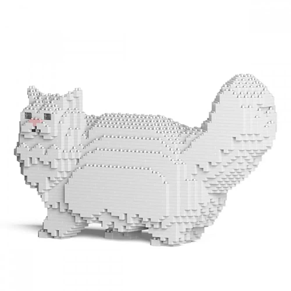 Persian Cat