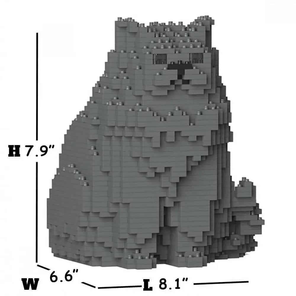 Persian Cat