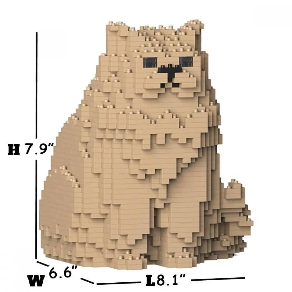 Persian Cat