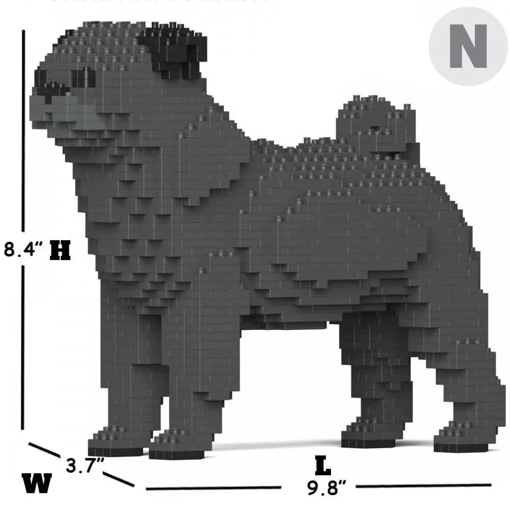 Pug-6