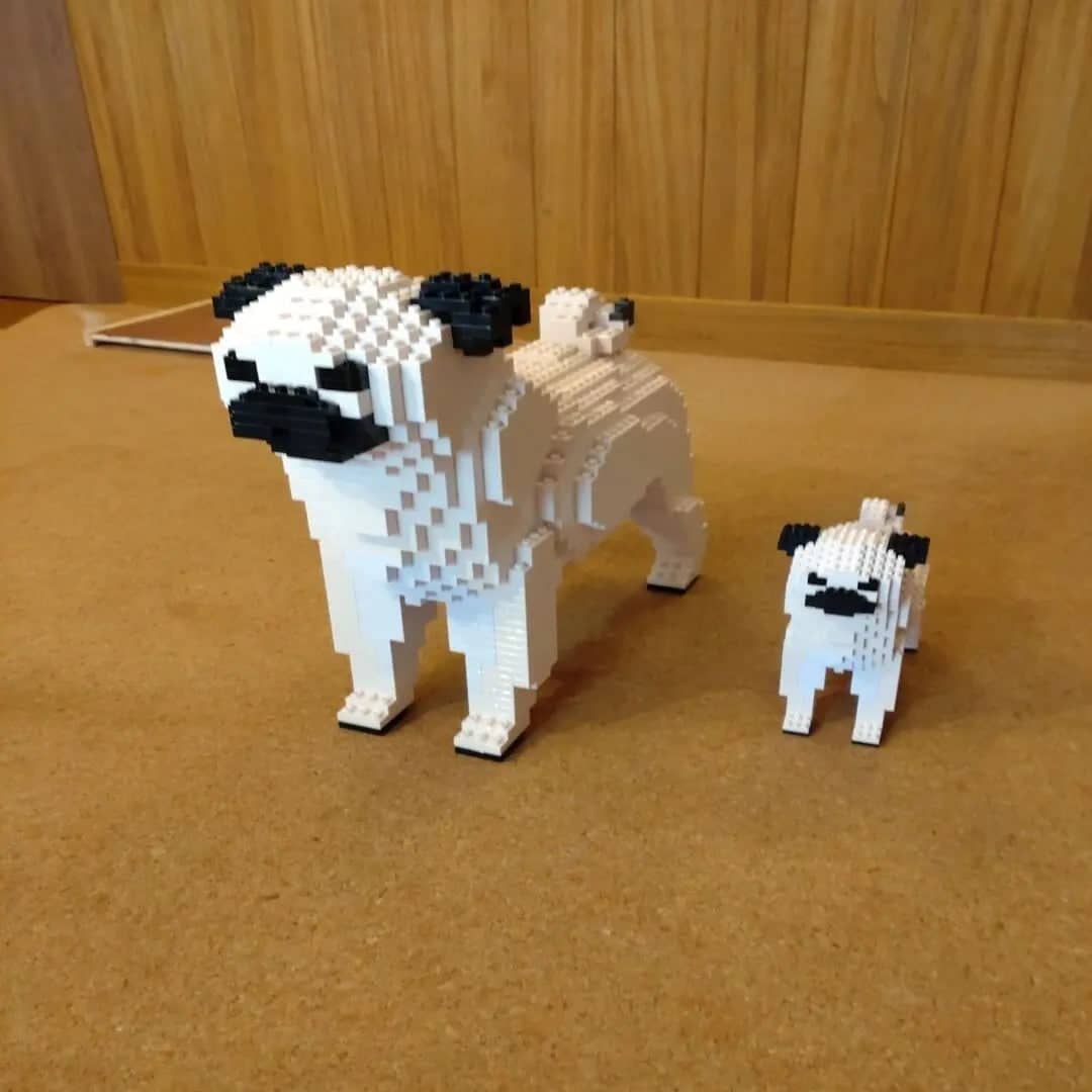 Pug-3