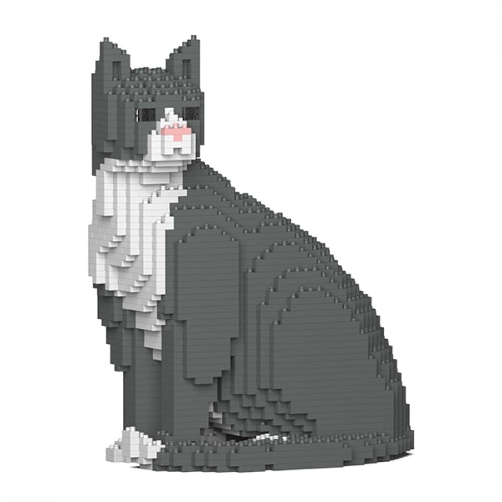 Grey Tuxedo Cat