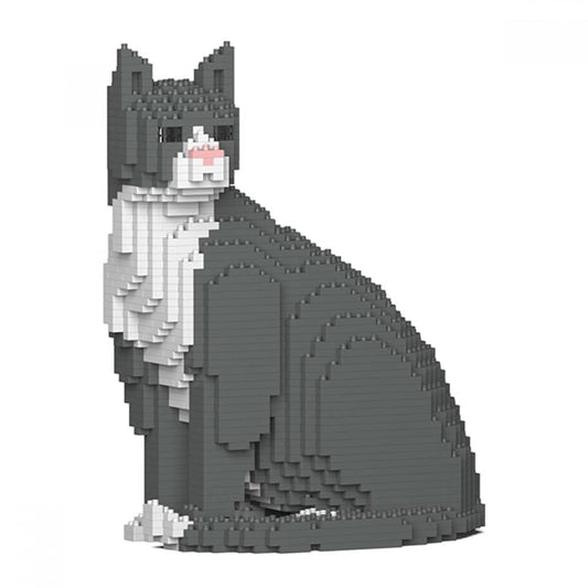 Grey Tuxedo Cat