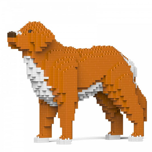Nova Scotia Duck Tolling Retriever-0